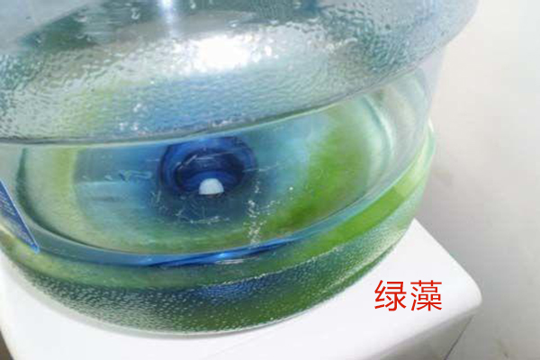 1565138215621577.jpg 2.jpg